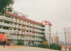 学校环境
